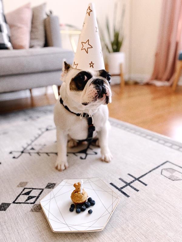 /Images/uploads/Congregation Beth Emeth/bethemeth/entries/17510thumb.jpg